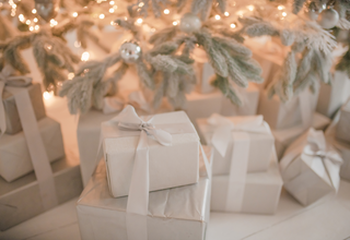 Holiday Gifts $50-100