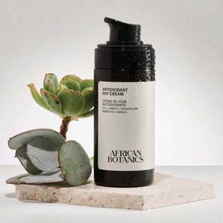 Antioxidant Day Cream
