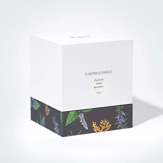 Travertine Plantable Candle