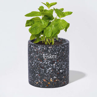 Travertine Plantable Candle