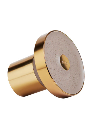 Brushed Gold Filtered Showerhead