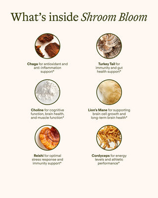 Shroom Bloom Functional Mushrooms