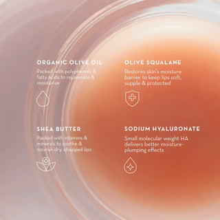 Olive Lip Butter Balm