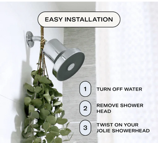 Brushed Gold Filtered Showerhead
