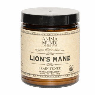 LION'S MANE : 100 % biologique, cerveau + cognition, 12-14 % de bêta-glucanes