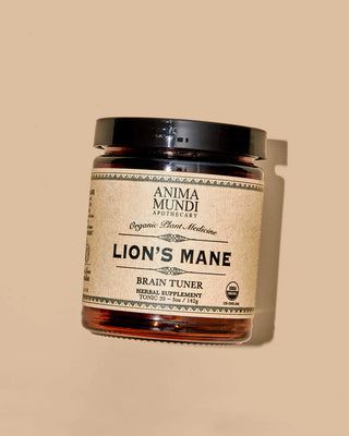 LION'S MANE : 100 % biologique, cerveau + cognition, 12-14 % de bêta-glucanes