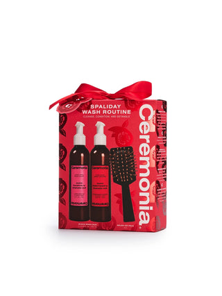 Shampoo & Conditioner Holiday Gift Set with Mini Brush