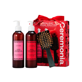Shampoo & Conditioner Holiday Gift Set with Mini Brush