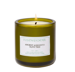 Ancient Agrigento Olive Tree Candle